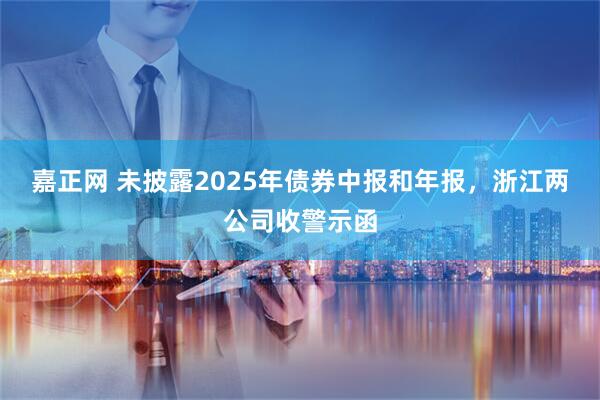 嘉正网 未披露2025年债券中报和年报，浙江两公司收警示函