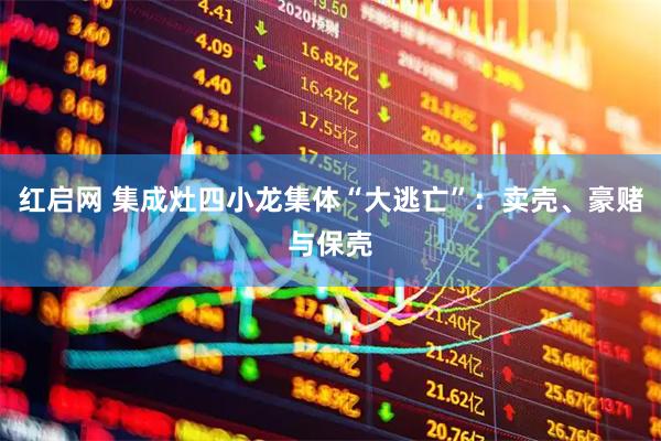 红启网 集成灶四小龙集体“大逃亡”：卖壳、豪赌与保壳